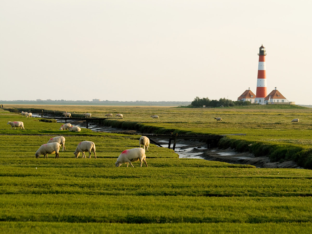 Norderney singlereisen