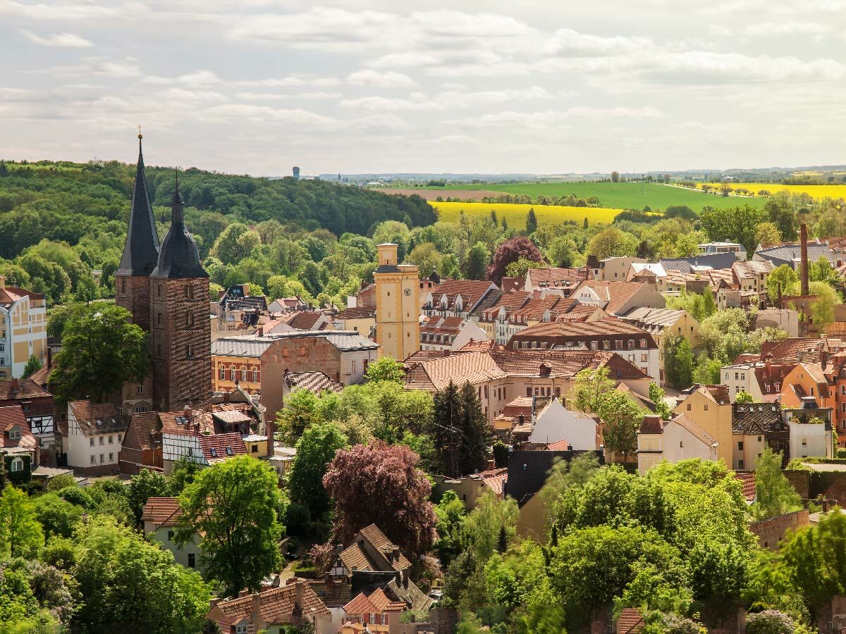 Panorama einer historischen deutschen Stadt: Rote Dächer, grüne Bäume, markante Kirchtürme, gelbes Rapsfeld im Hintergrund, bewölkter Himmel.