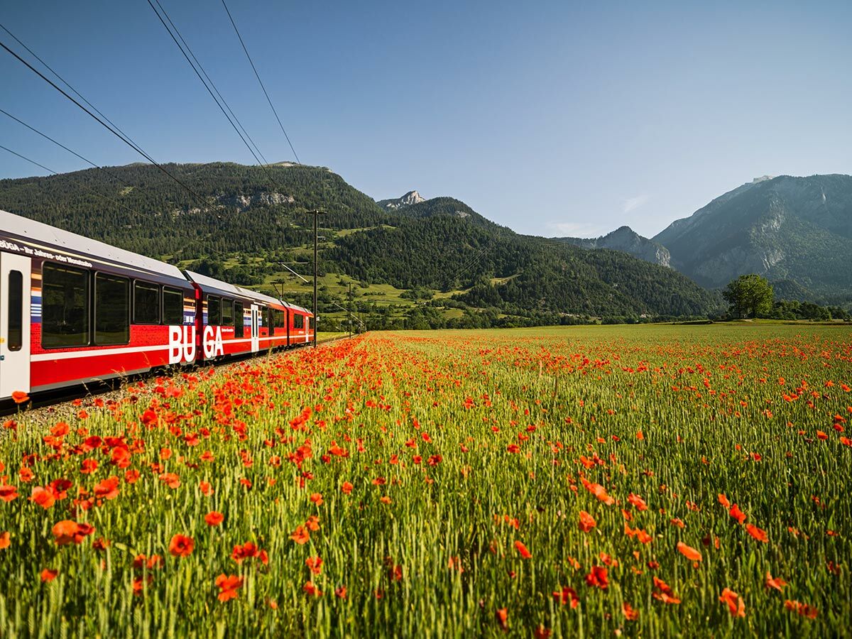felix-reisen-gmbh-teaser-bernina-und-glacier-express-bernina-express-rhb1436-54f980d8