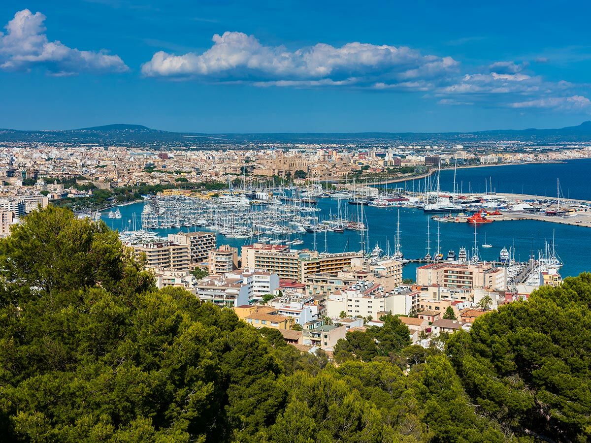 Panoramablick auf den Hafen von Palma de Mallorca mit Jachthafen, Kathedrale, Stadt und grünen Bäumen im Vordergrund.