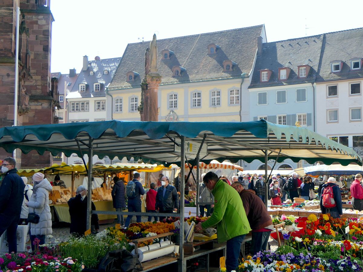 Belebter Marktplatz mit Blumenständen und Käufern. Historische Gebäude, Kirche und ein Denkmal im Hintergrund an einem sonnigen Tag.