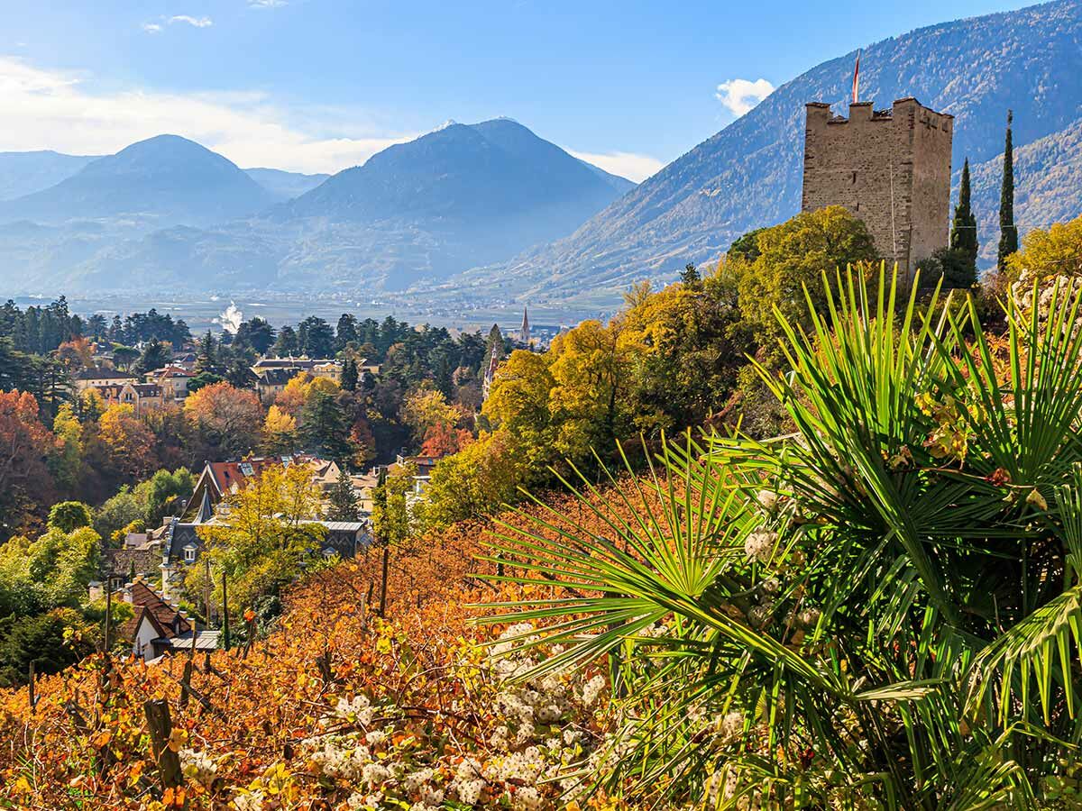 Panoramablick auf Meran im Herbst mit leuchtenden Weinbergen, historischem Schloss und majestätischen Bergen im Hintergrund.