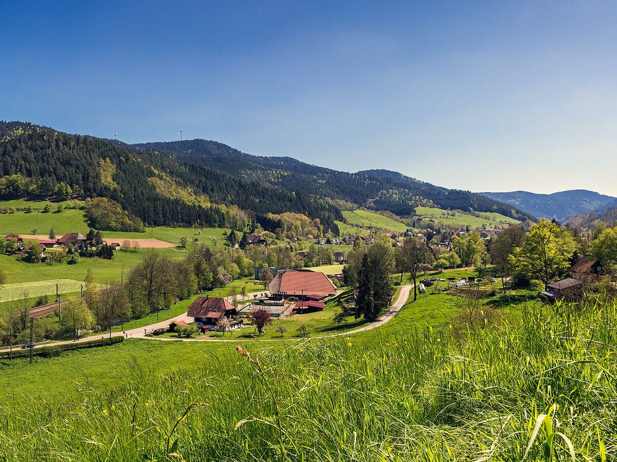 Idyllische Schwarzwald Landschaft mit grünen Wiesen, bewaldeten Hügeln, einem Dorf und blauem Himmel an einem sonnigen Tag.
