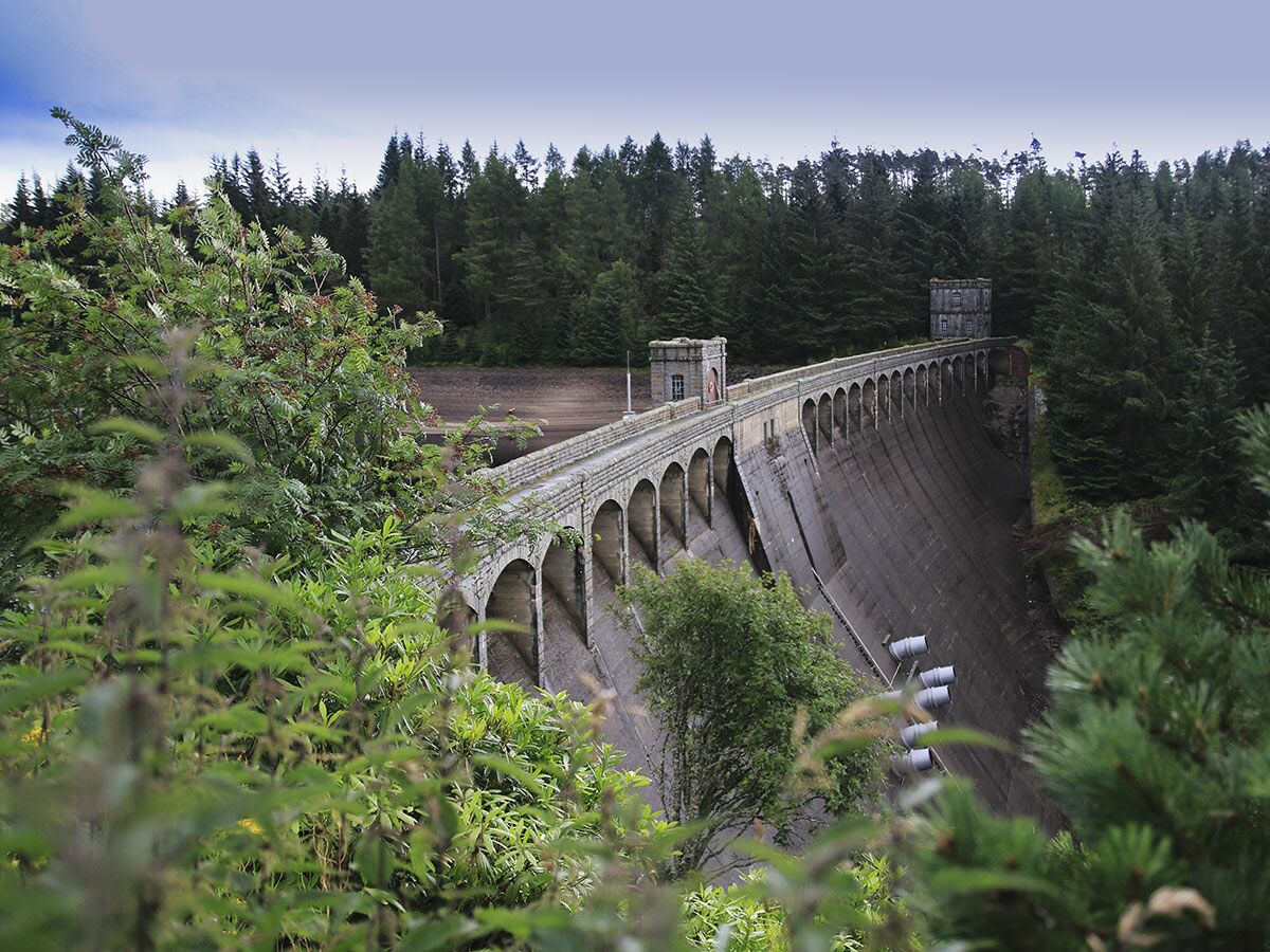 Beeindruckender Staudamm mit Bogenbrücke und zwei Türmen, umgeben von dichtem Nadelwald und grünem Laub im Vordergrund.