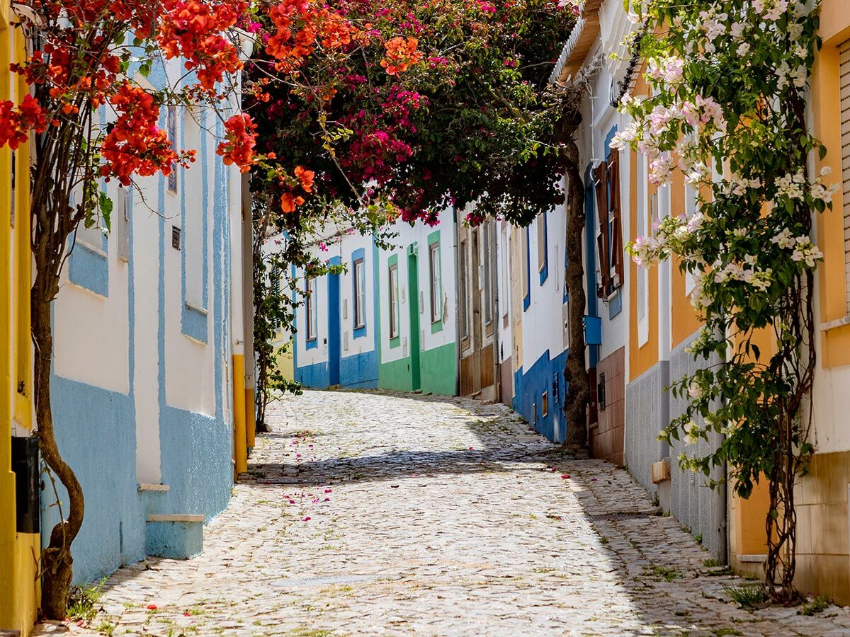 Malerische Gasse mit bunten Häusern und Kopfsteinpflaster, überragt von roten und weißen Bougainvillea-Blüten.
