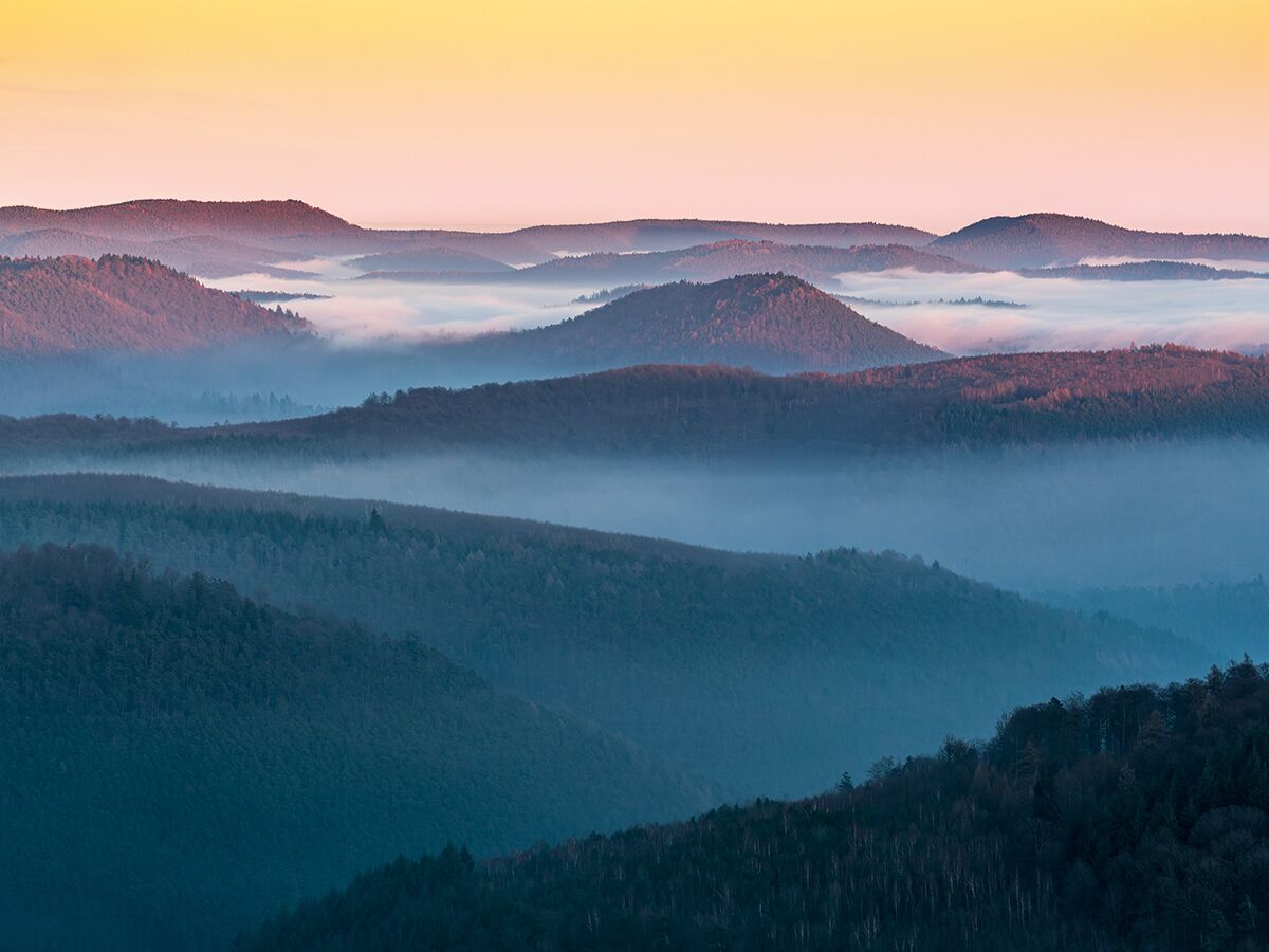 Panoramablick nebelige Berglandschaft Sonnenaufgang, schichtweise Hügel und Wälder in goldenem Licht.