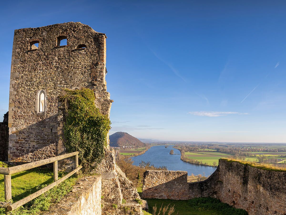 Alte Burgruine aus Stein mit Efeu, die über einem breiten Fluss und grünen Feldern in einer weiten Landschaft thront.