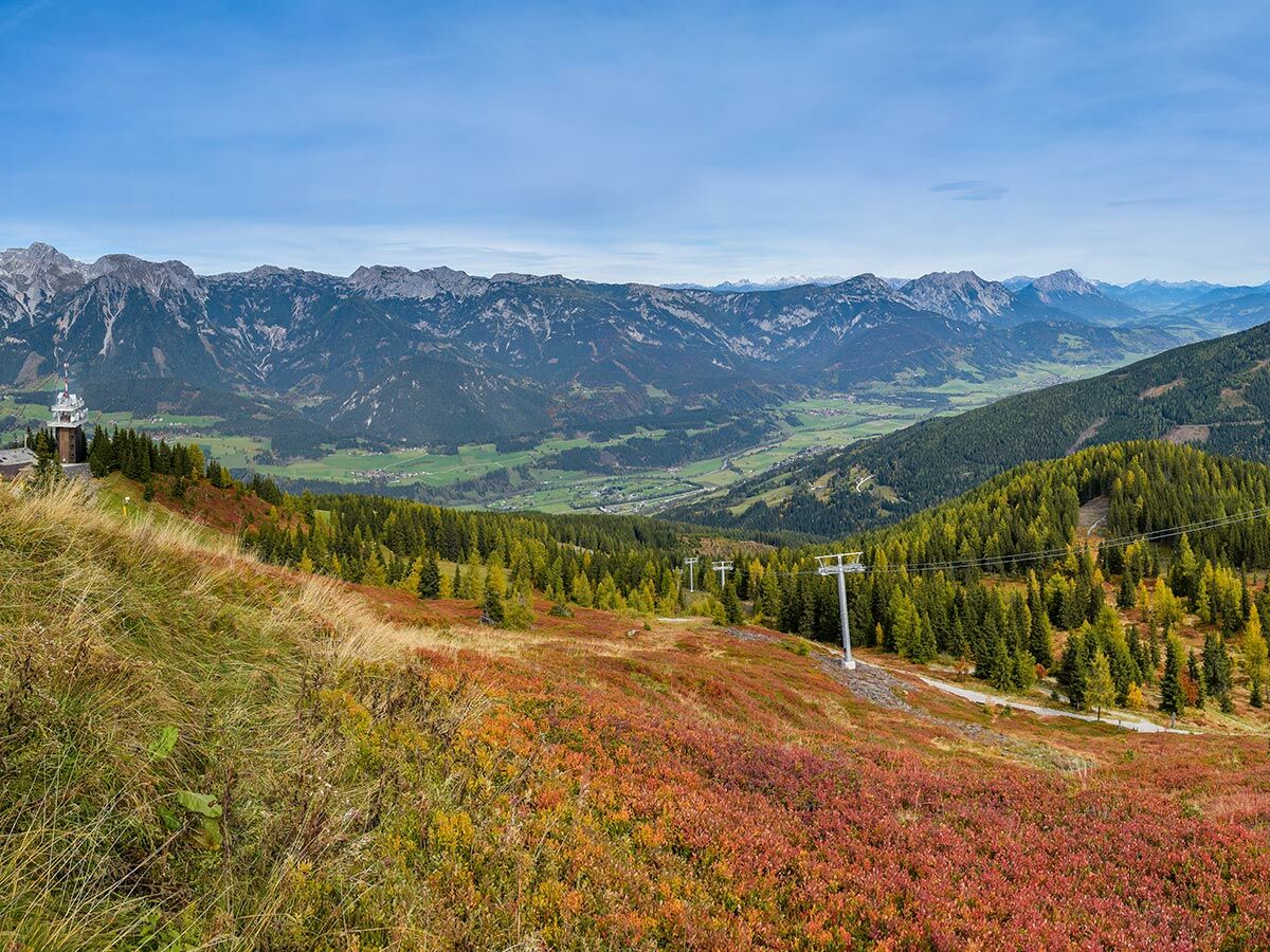 Weitblick auf herbstliche Alpenlandschaft mit leuchtend roten Sträuchern, Skiliftmasten, grünem Tal und markanten Bergen.