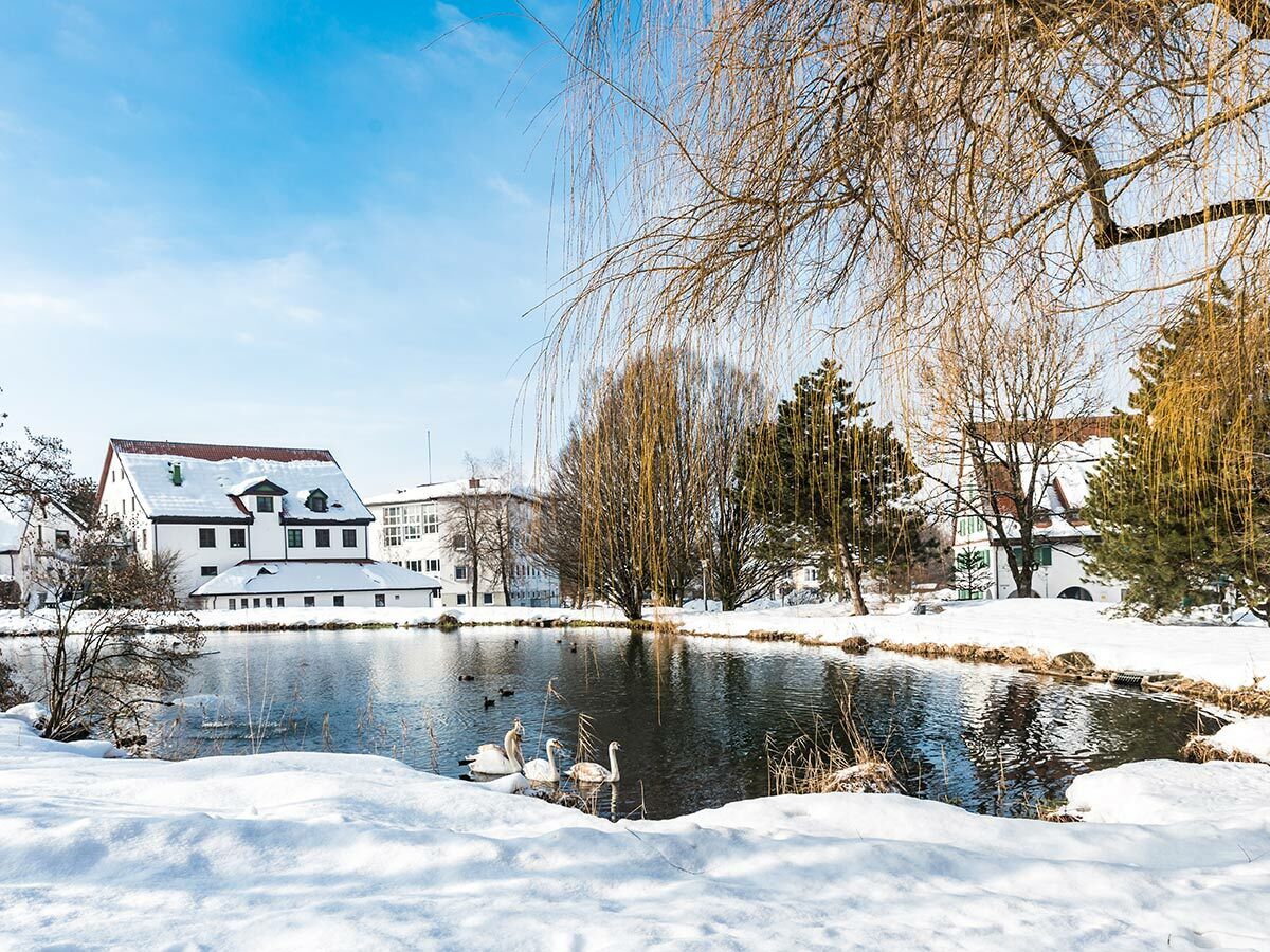 Malerische Winterlandschaft mit verschneitem See, Schwänen und Enten, umgeben von Häusern und kahlen Bäumen unter blauem Himmel.
