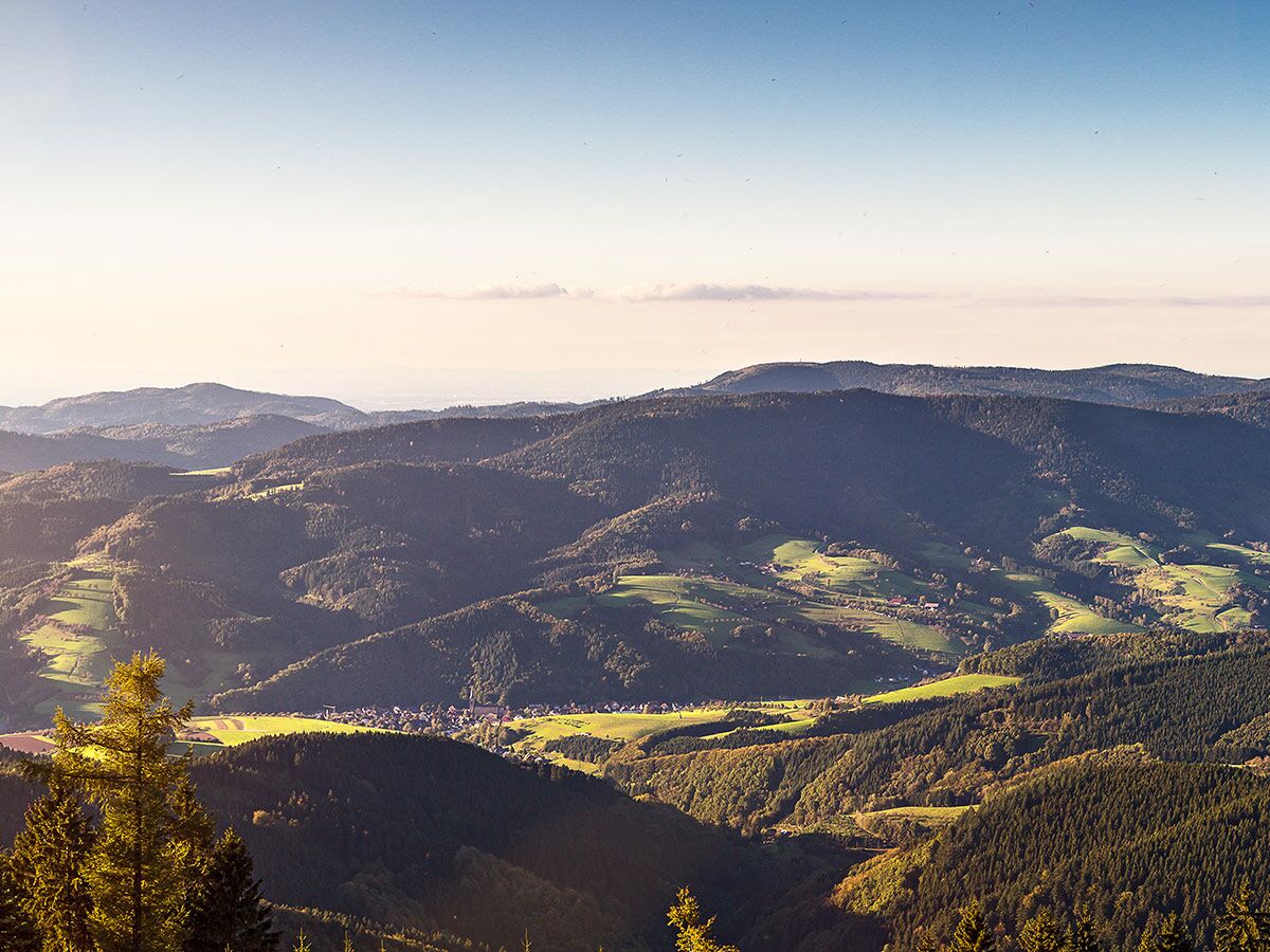 Weitblick über den Schwarzwald mit bewaldeten Hügeln, grünen Tälern und einem Dorf im Abendlicht.