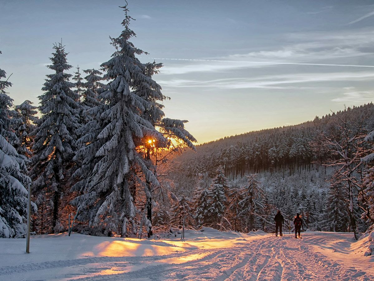 Verschneiter Winterwald bei Sonnenaufgang mit goldenem Licht und zwei Skifahrern auf einer Loipe.