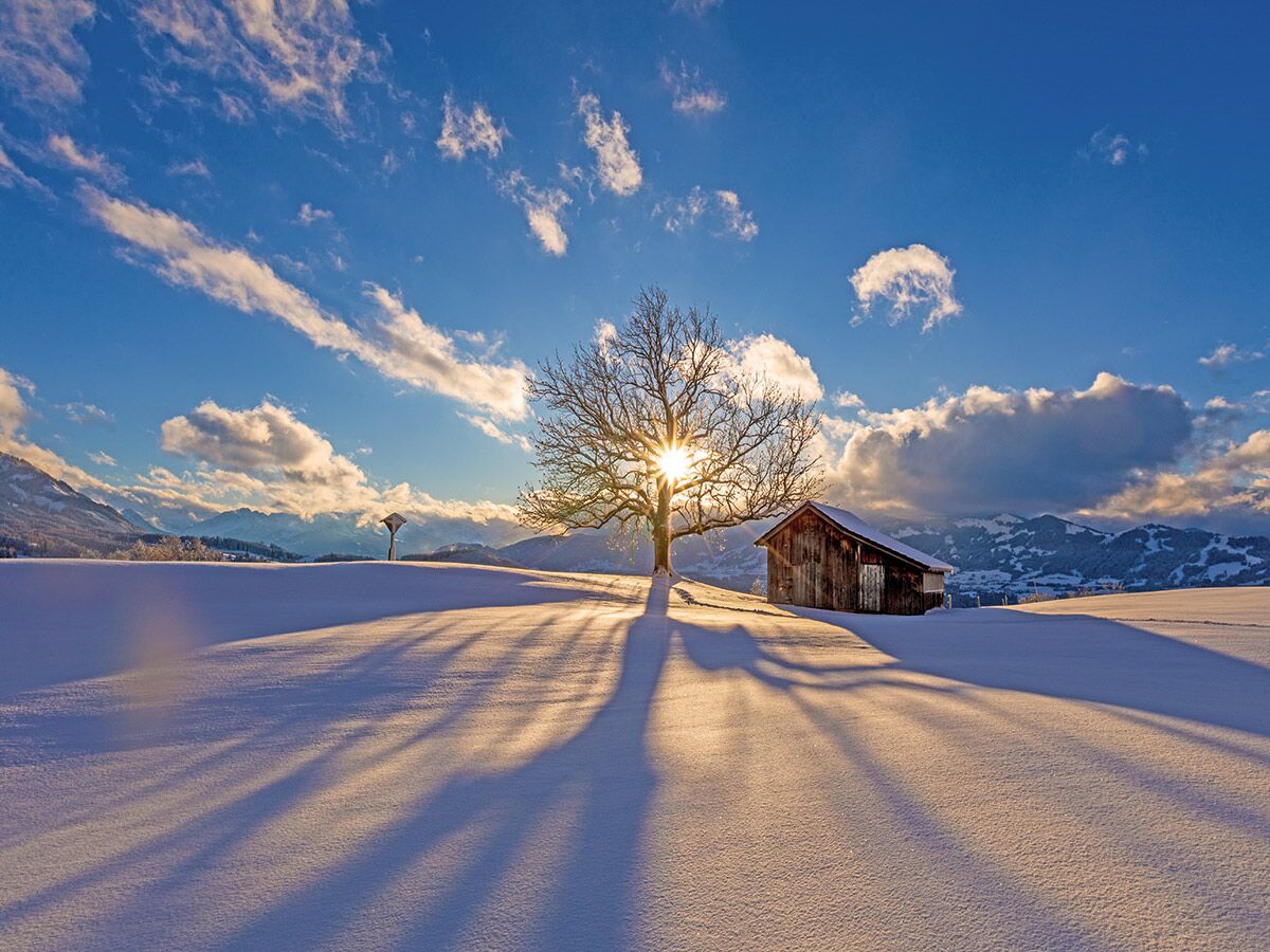 Idyllische Winterlandschaft mit kahlem Baum, Sonne, langen Schatten im Schnee und einer Holzhütte vor winterlichen Bergen.