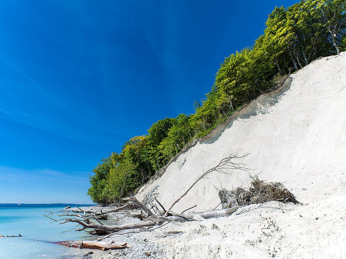 Sonniger Tag an der Kreideküste mit steilem, weißem Kreidefelsen, grünen Bäumen, Strand und türkisblauem Meer.