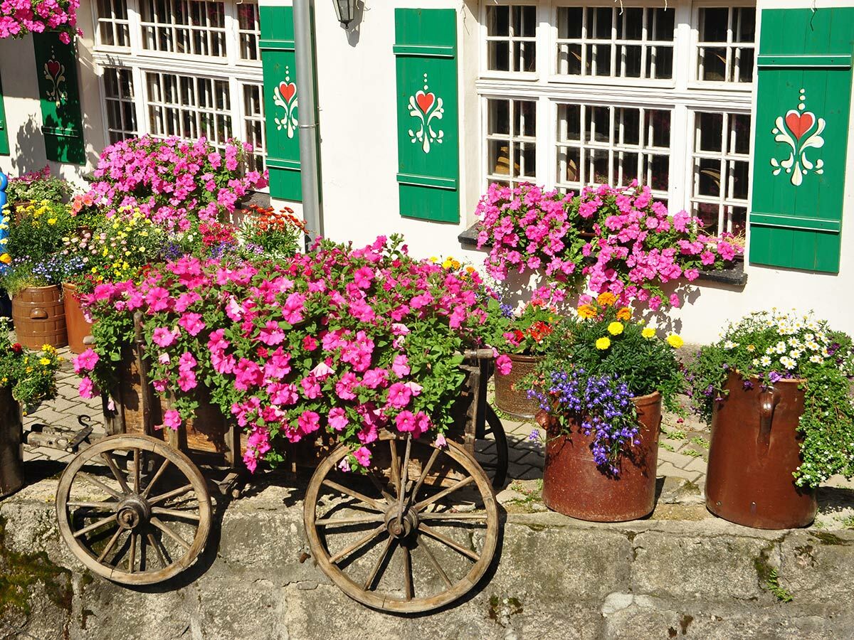 Bunte Blumen und grüne Fensterläden schmücken eine weiße Landhausfassade mit einem Holzwagen voller Petunien und Töpfen.