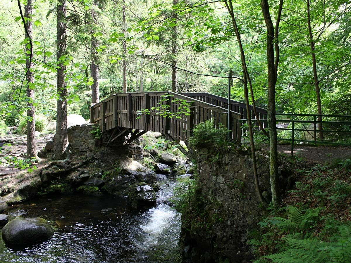 Eine hölzerne Bogenbrücke führt über einen felsigen Bach in einem dichten, grünen Wald an einem sonnigen Tag.