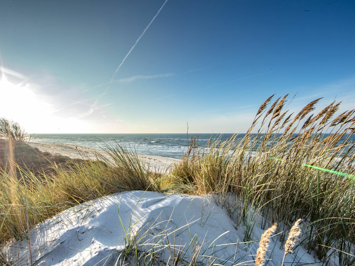 Sonniger Strand mit Dünen, Strandhafer, blauem Meer und Himmel mit Kondensstreifen; Sonne blendet links.