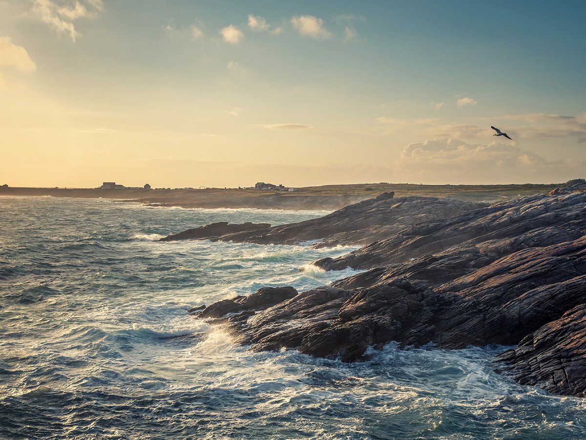 Malerische Felsküste mit Wellen, die bei Sonnenuntergang an Felsen brechen, ein Vogel fliegt über dem Meer.