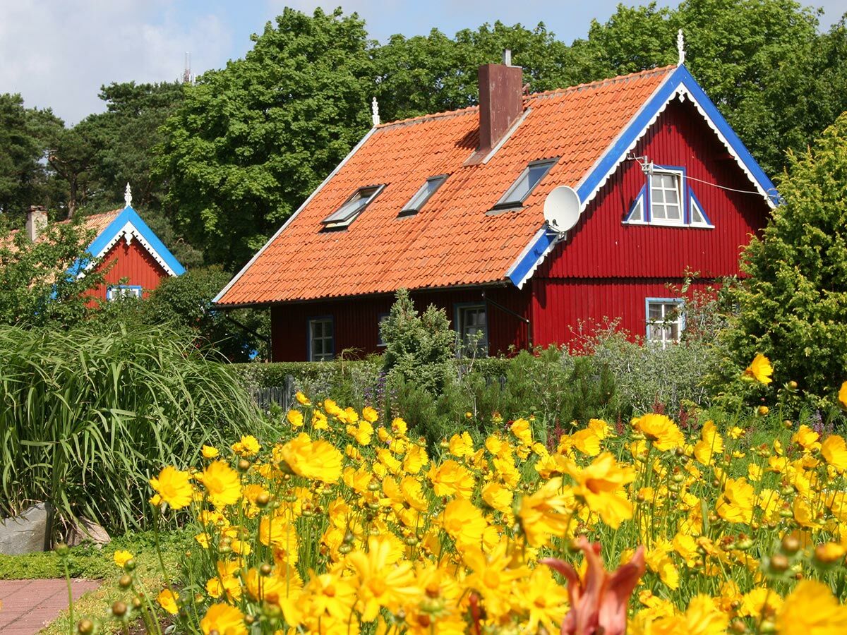 Rotes Holzhaus mit blauem Giebel, orangefarbenem Dach und Satellitenschüssel inmitten eines gelben Blumenfeldes an einem sonnigen Sommertag.