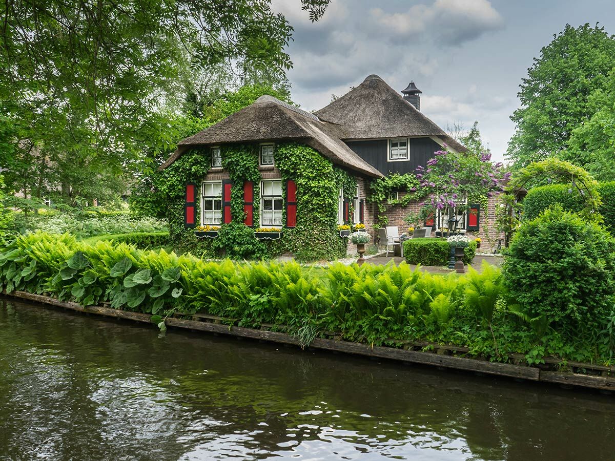 Idyllisches Reetdachhaus mit Efeu und roten Fensterläden am Kanal in Giethoorn, umgeben von grünen Farnen und Bäumen.