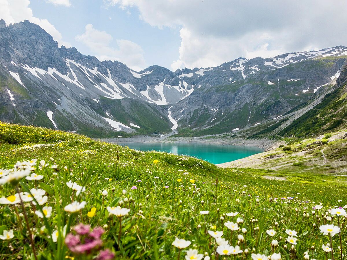 Türkisblauer Bergsee umgeben von schneebedeckten Alpen und einer blühenden Wiese voller weißer und gelber Blumen im Vordergrund.