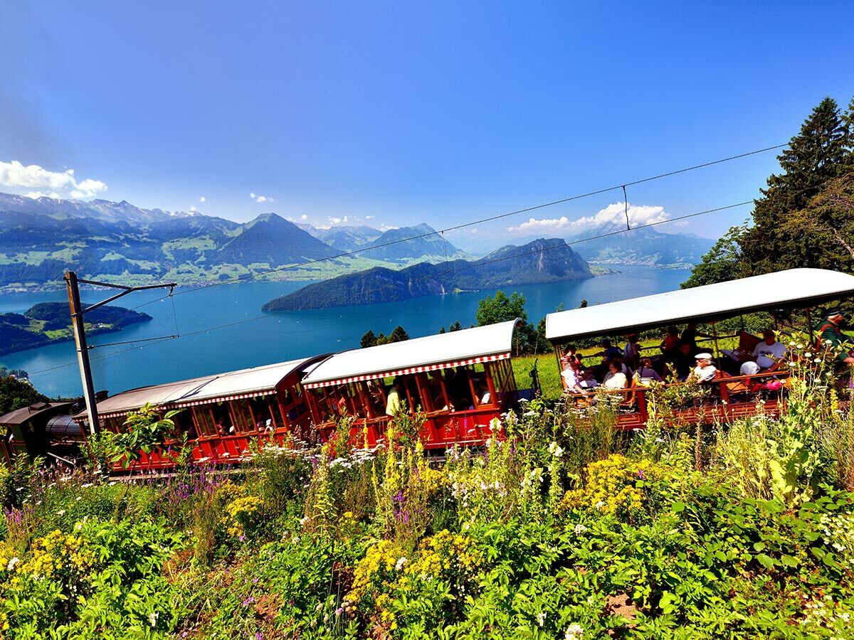 Rote Zahnradbahn fährt einen sonnigen Berghang mit Wildblumen hinauf, im Hintergrund glänzt der Vierwaldstättersee und die Schweizer Alpen.