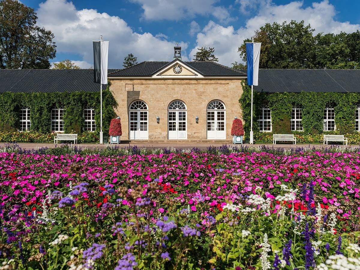 Historisches Sandsteingebäude mit Uhr, von Efeu bedeckt, umgeben von einem Blumenmeer in einem Park unter blauem Himmel.