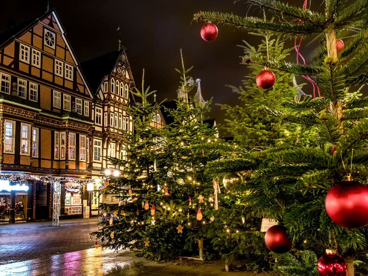 Weihnachtsbäume mit roten Kugeln und Lichtern vor traditionellen Fachwerkhäusern auf einem festlichen Weihnachtsmarkt in der Nacht.