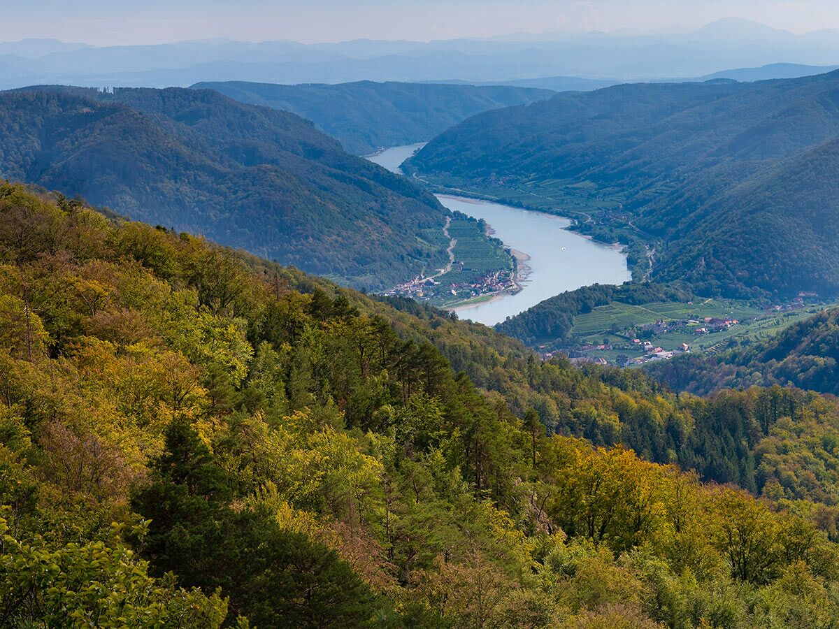 Malerisches Panorama des Wachau-Tals mit Donau, Weinbergen, Dörfern und herbstlichen Wäldern unter klarem Himmel.