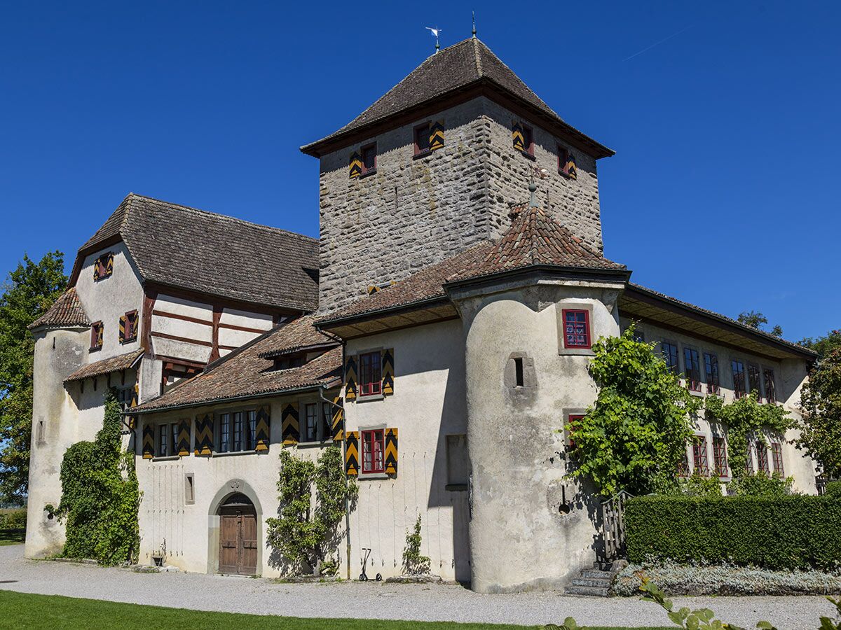 Historisches Schloss mit Steinturm, Fachwerk, bunten Fensterläden und Efeu unter blauem Himmel.
