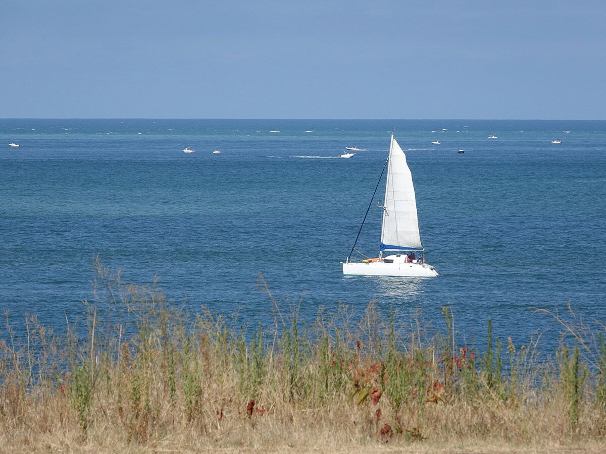 Weißes Katamaran Segelboot mit Segeln fährt auf blauem Meer, im Vordergrund trockenes Gras, weitere Boote am Horizont.