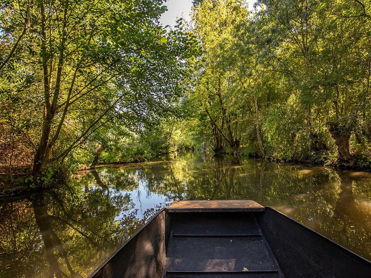 Vorderteil eines kleinen Holzbootes auf einem ruhigen Fluss, umgeben von dichtem Grün und spiegelnden Bäumen.