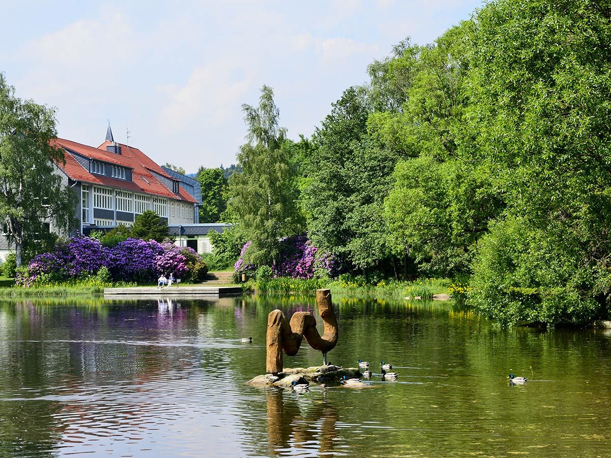 Ein ruhiger See mit Schwimmenten, umgeben von blühenden lila Rhododendren, Bäumen und einem großen Gebäude mit rotem Dach.