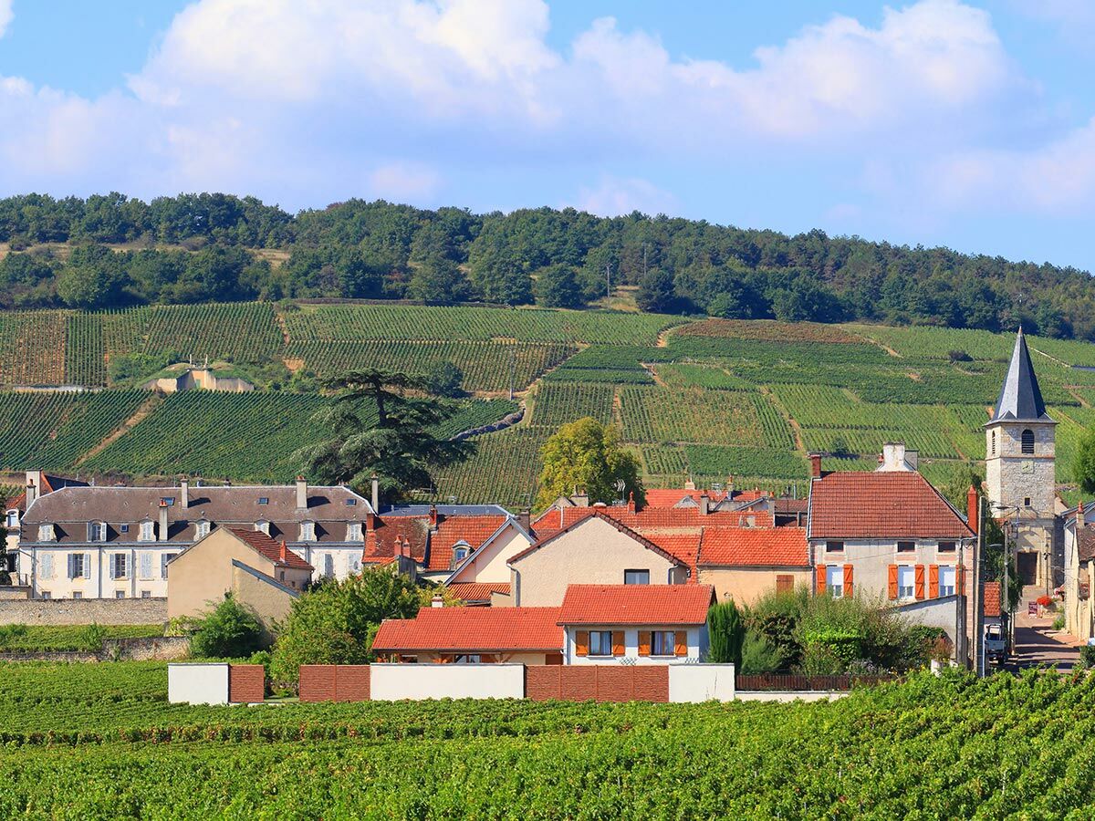 Malerisches Dorf mit Kirche und traditionellen Häusern, umgeben von grünen Weinbergen und bewaldeten Hügeln unter blauem Himmel.
