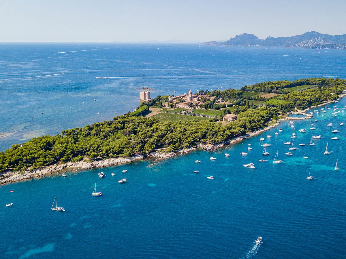 Luftaufnahme der bewaldeten Insel Saint-Honorat vor Cannes mit historischem Kloster, Weinfeldern, Festungsturm und vielen Segelbooten im blauen Meer.