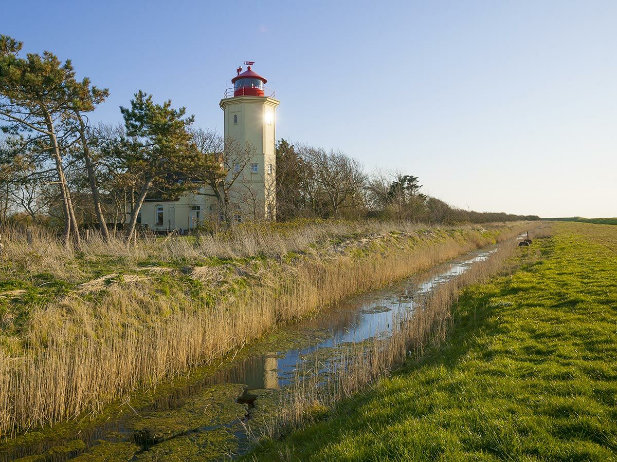 Hoher gelber Leuchtturm mit rotem Dach neben einem Schilfgraben, grünen Feldern und Bäumen unter blauem Himmel.