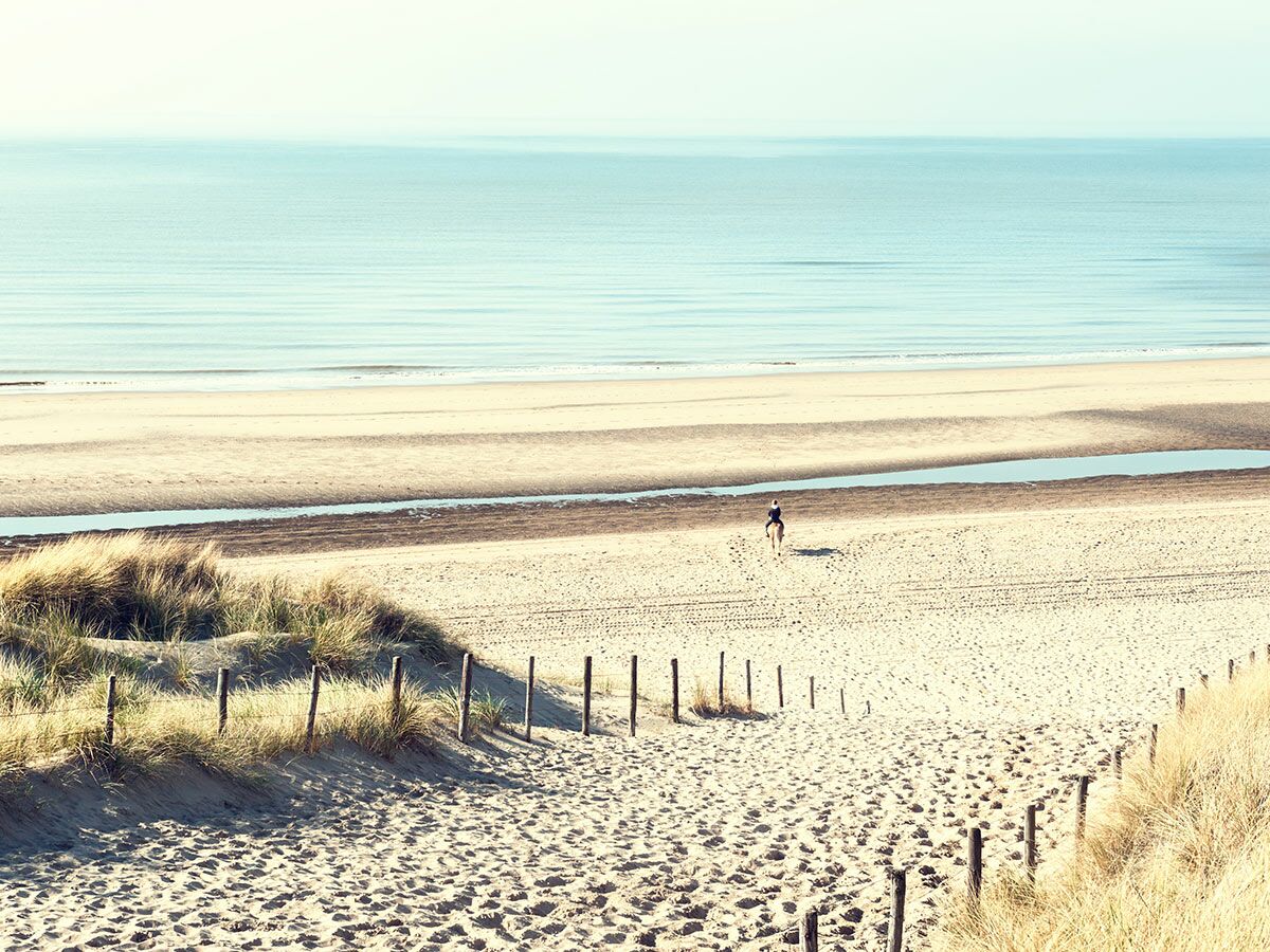 Weitläufiger Sandstrand mit ruhigem Meer und Dünen, auf dem eine Person auf einem Pferd entlangreitet.