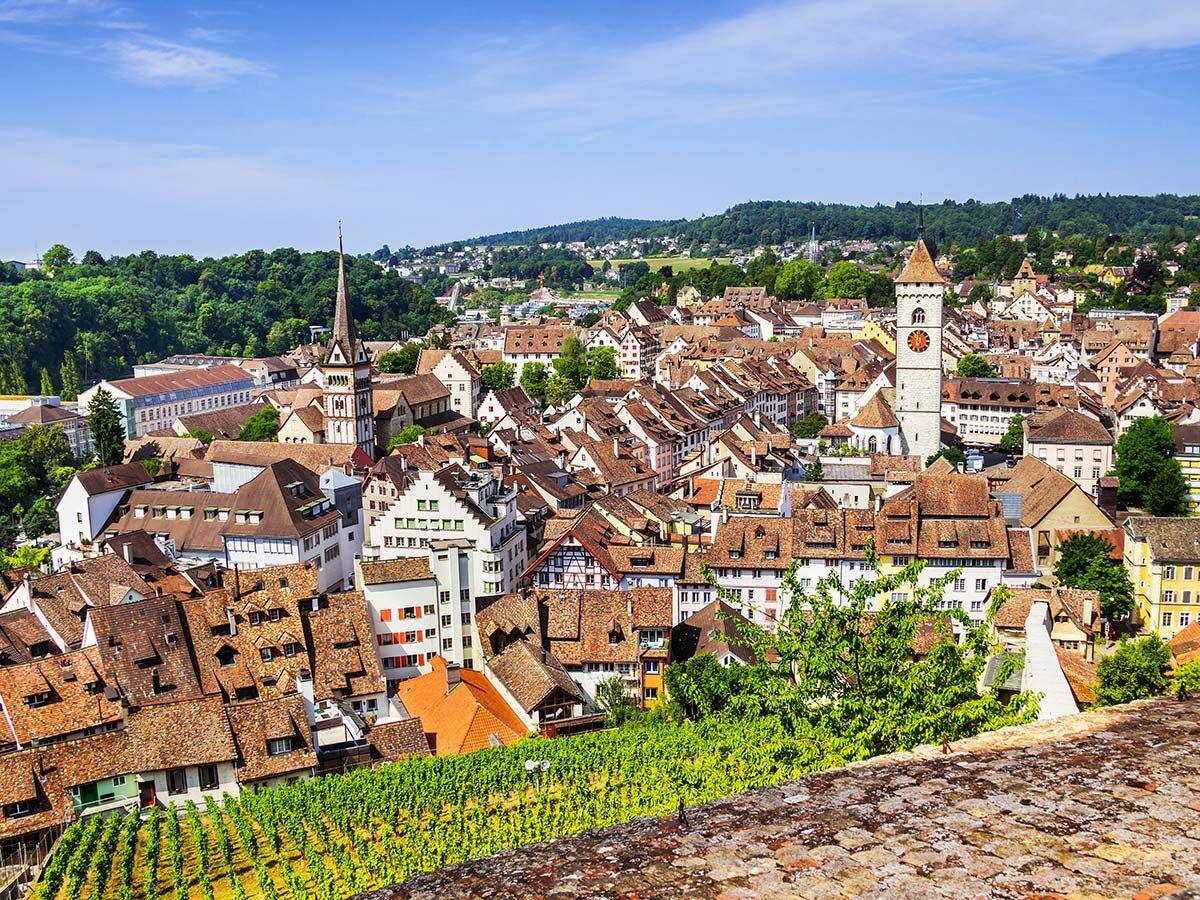 Panoramablick auf die historische Altstadt von Schaffhausen, Schweiz, mit Gebäuden, Türmen und einem Weinberg im Vordergrund.