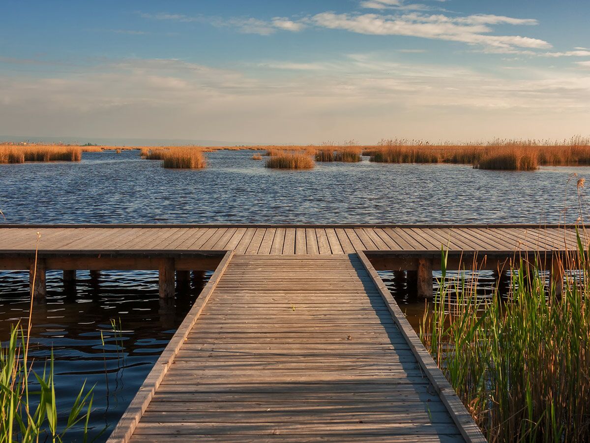 Holzsteg führt in ruhigen See mit Schilf unter klarem Himmel. Sonnenuntergangslicht auf Wasser und Naturlandschaft.