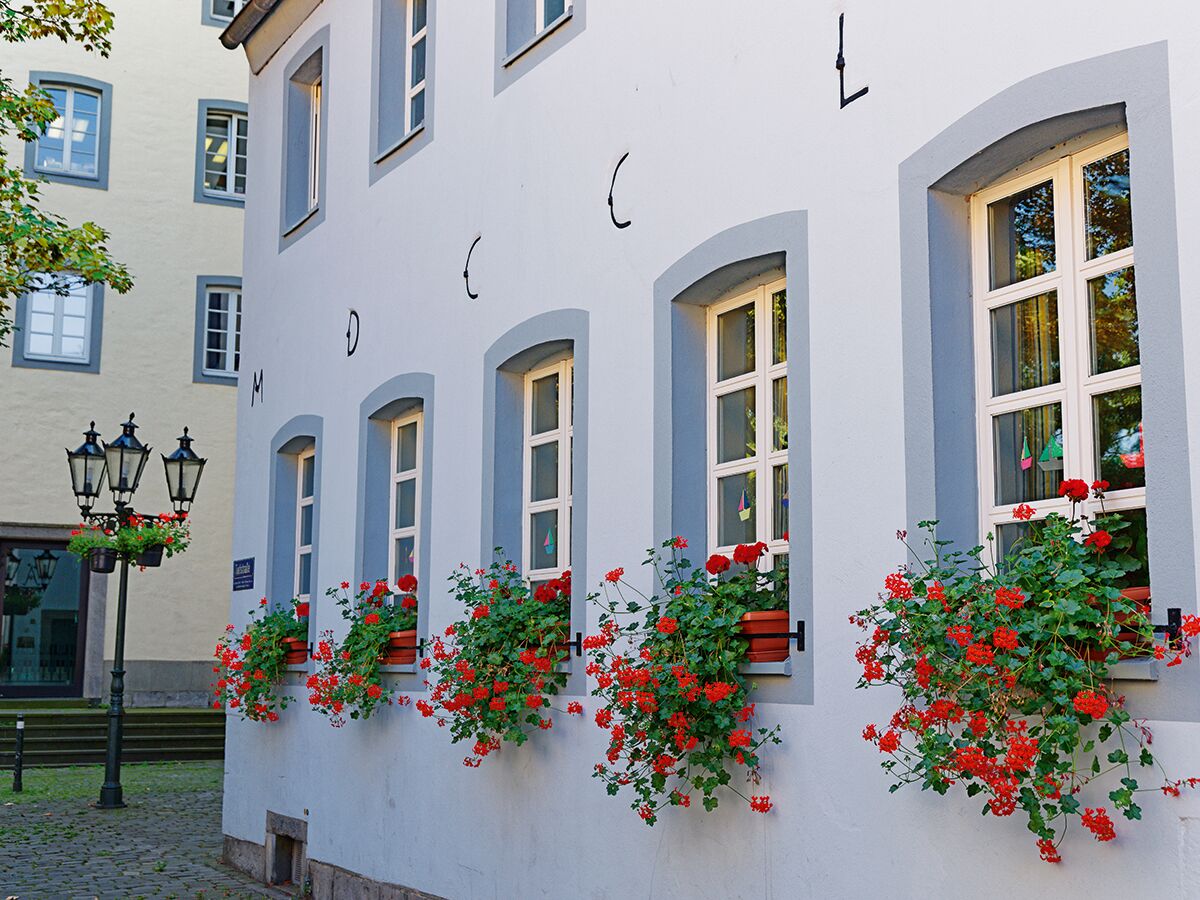 kempen-die-perle-am-niederrhein-adobestock-298614994-db30ad30