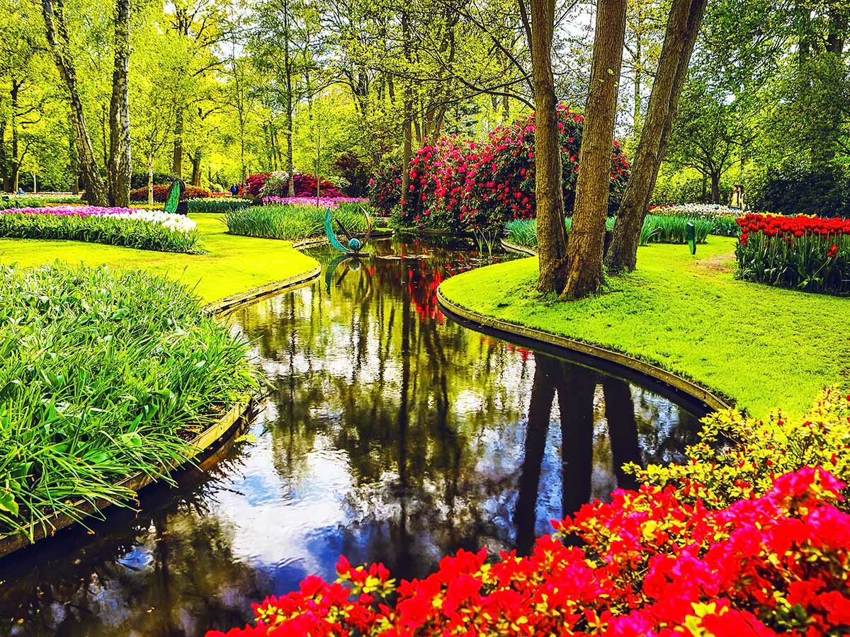 Lebhafter Keukenhof Garten mit gewundenem Bach, der Bäume und Himmel spiegelt, umgeben von farbigen Tulpen und Rhododendren.