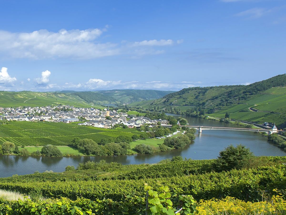 Malerisches Moseltal mit Weinbergen, Dorf, Fluss und Brücke unter blauem Himmel an einem sonnigen Tag.