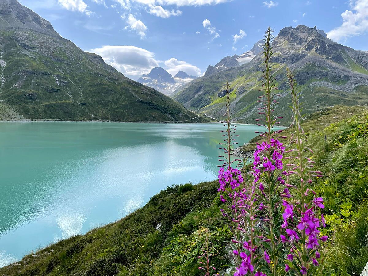 Türkiser Bergsee umgeben von grünen Berghängen und lila Blumen im Vordergrund unter blauem Himmel.