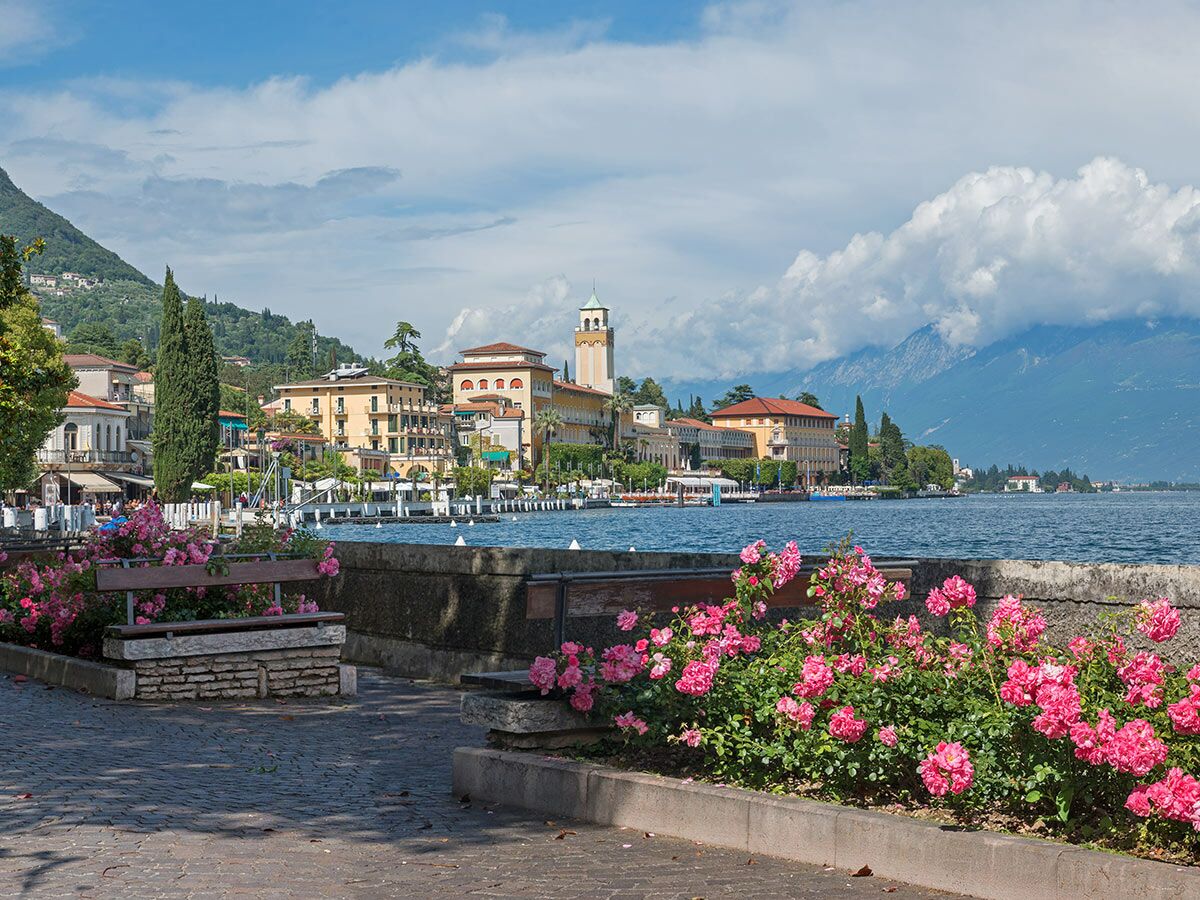 Malerische Uferpromenade in Malcesine am Gardasee mit rosa Rosen, historischen Gebäuden, See und Bergen unter blauem Himmel.