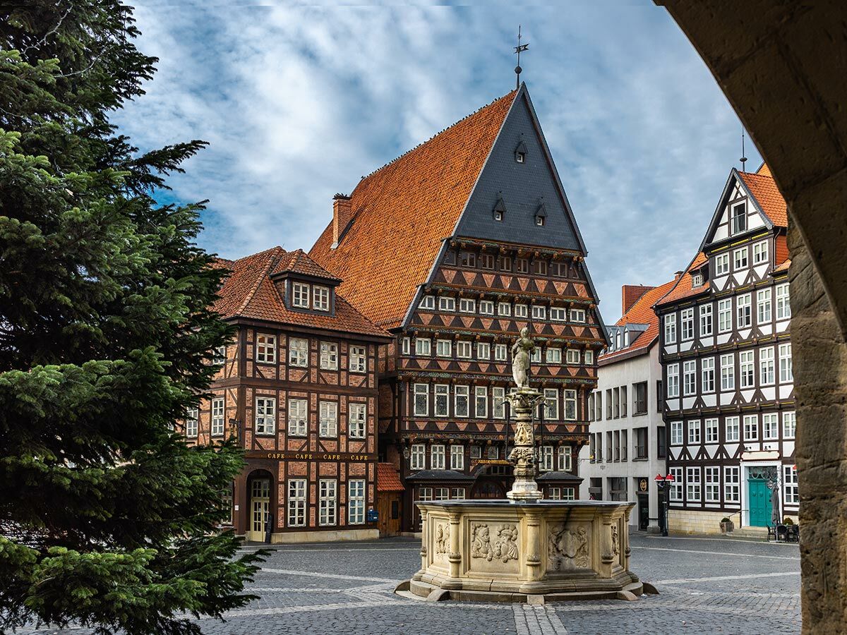 Historischer deutscher Marktplatz mit Fachwerkhäusern, einem alten Brunnen und einem großen Baum unter bewölktem Himmel.