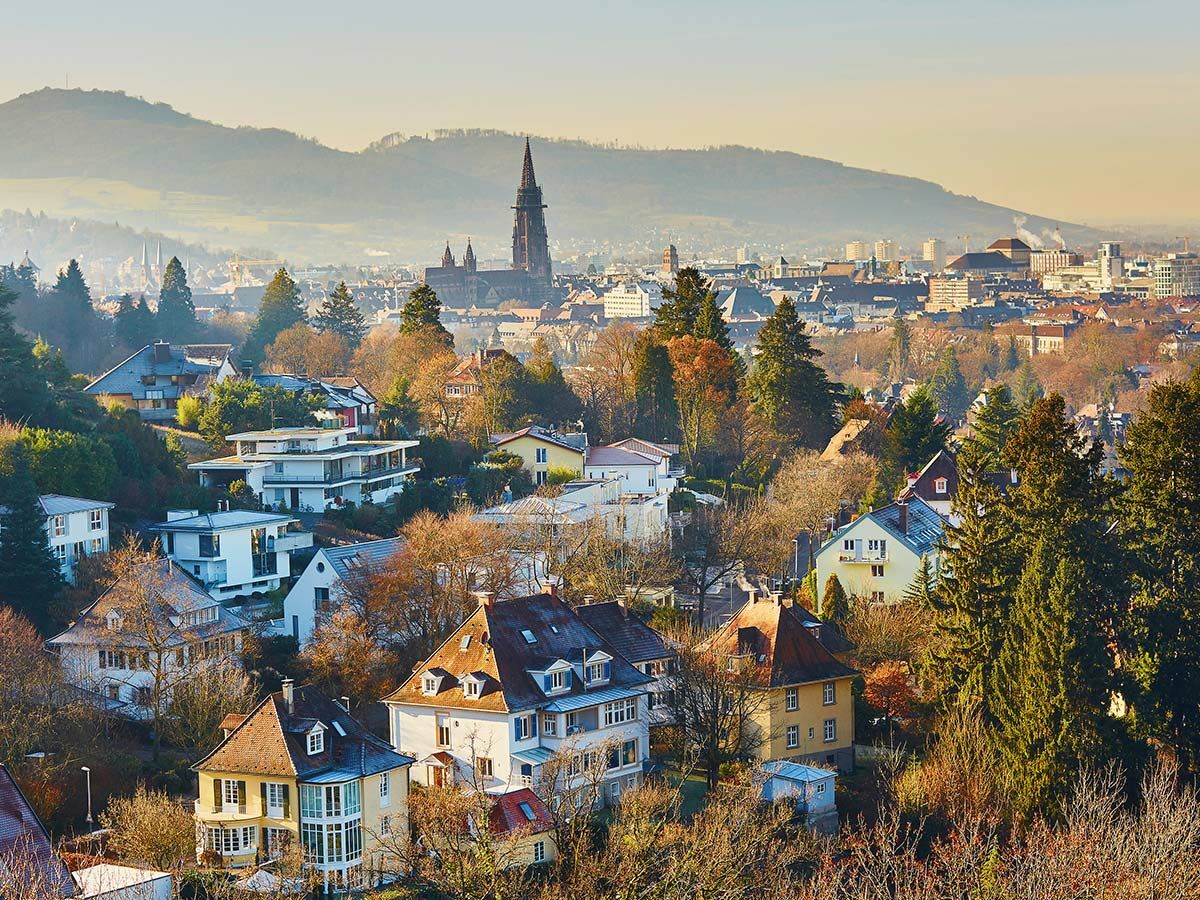 Malerische Stadtansicht Freiburgs im Herbst, mit vielen Wohnhäusern und Bäumen im Vordergrund und dem Münster sowie Bergen im Hintergrund.