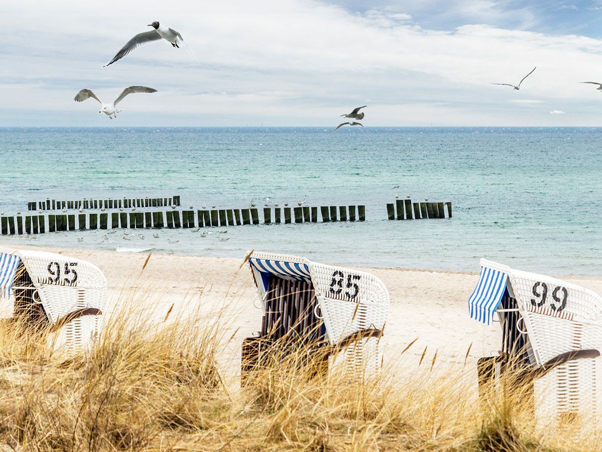 Strandkörbe im Sand, umgeben von Dünengras, mit Möwen über dem blauen Meer und hölzernen Wellenbrechern.
