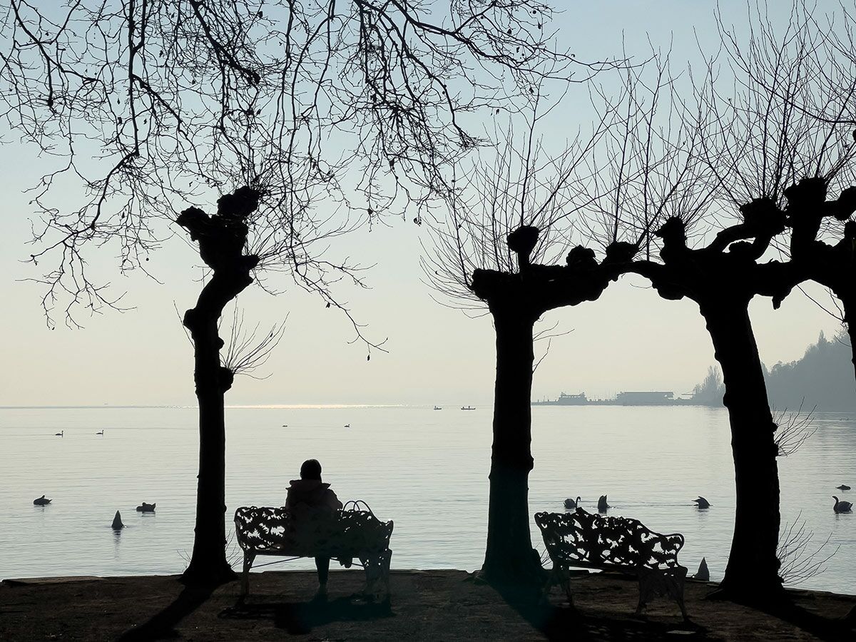 Eine Person sitzt auf einer Parkbank am Seeufer, umgeben von kargen Baum-Silhouetten, blickt auf das ruhige Wasser.