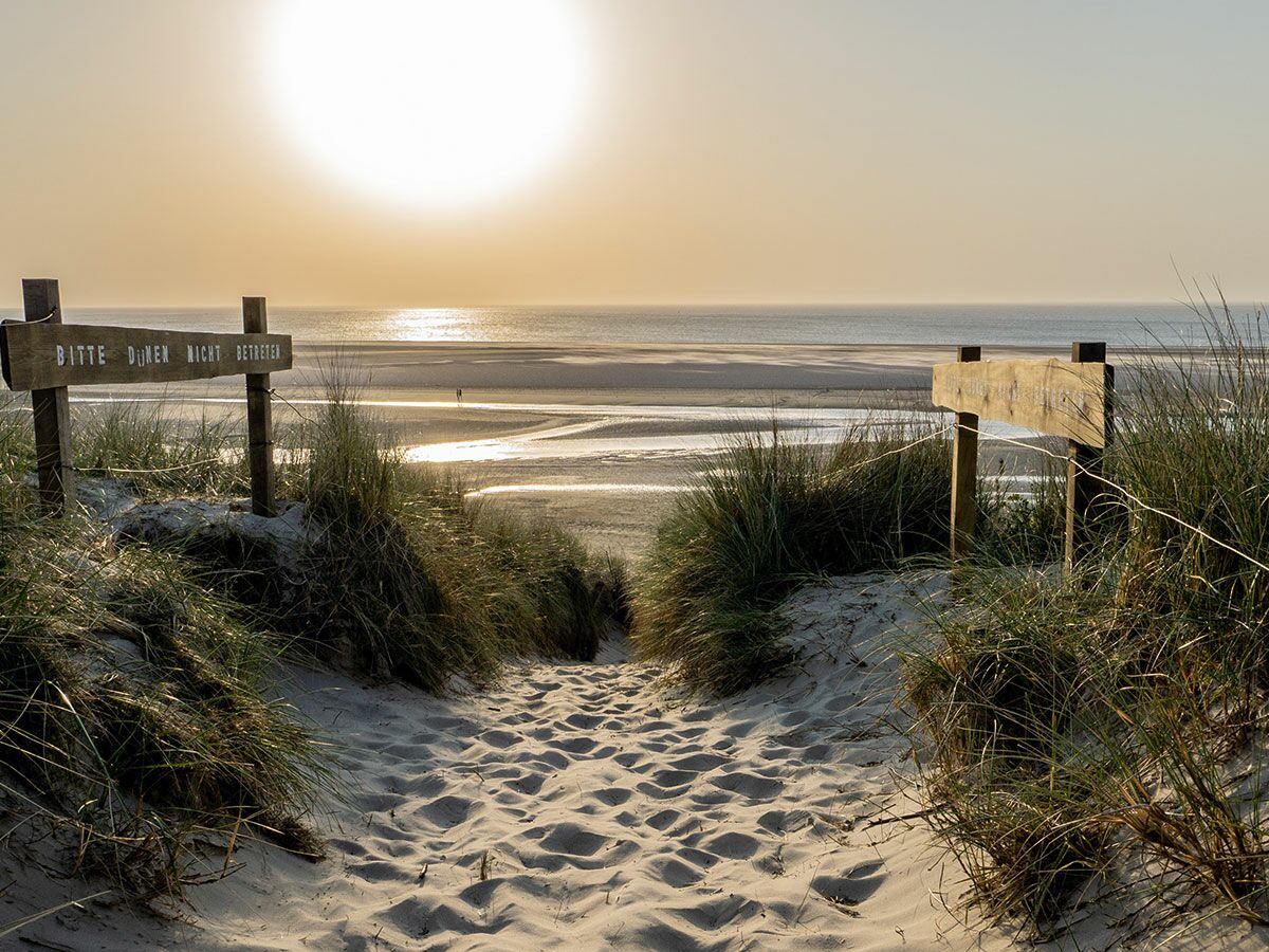 Idyllischer Dünenweg führt zu einem weiten Strand und Meer bei Sonnenuntergang. Ein Schild warnt vor dem Betreten der Dünen.