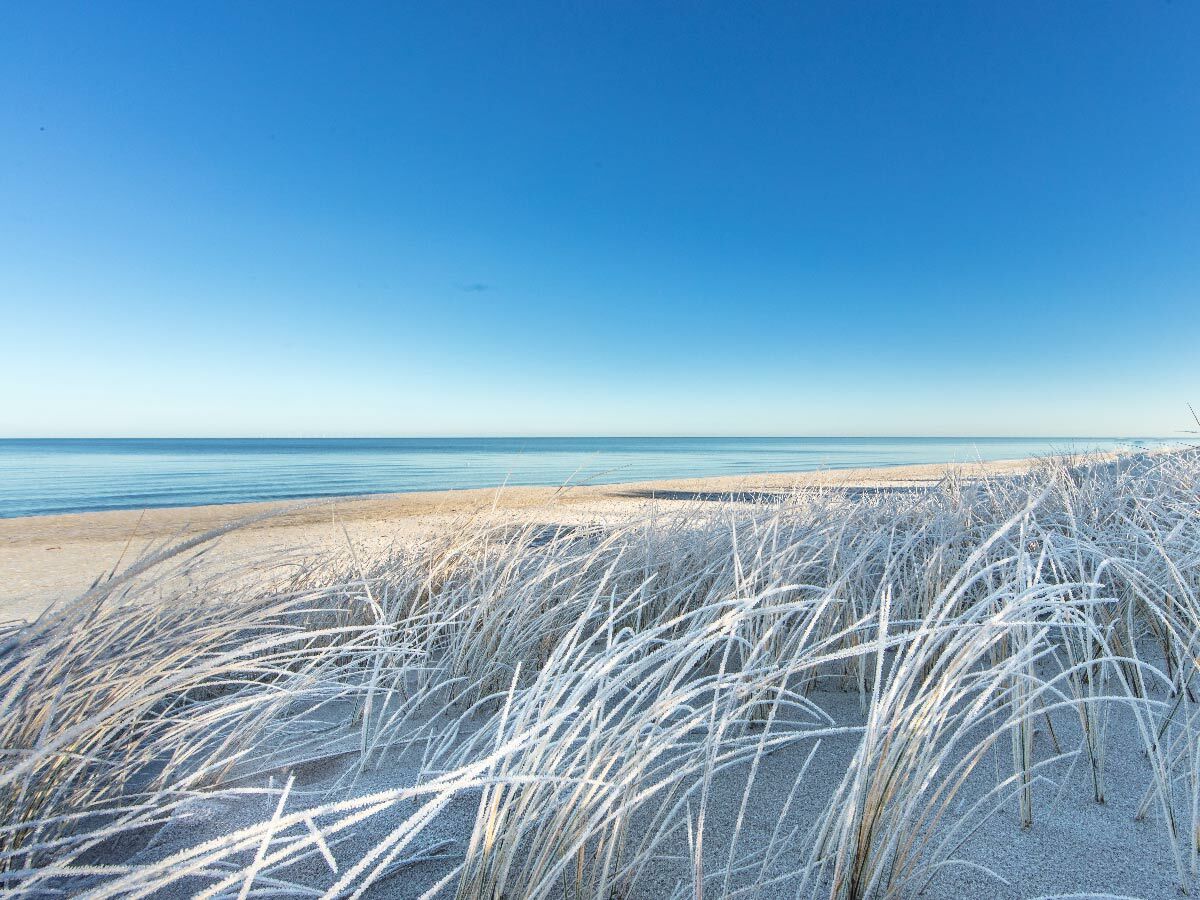 Gefrorenes Strandgras an einem sonnigen Wintertag. Sandstrand und ruhiges blaues Meer unter klarem Himmel.
