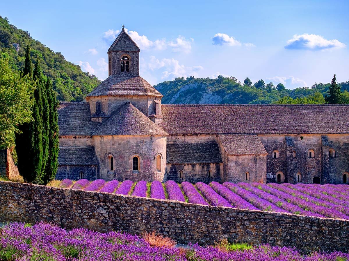 Historische Abtei Sénanque inmitten blühender Lavendelfelder in der Provence unter blauem Himmel mit grünen Hügeln.